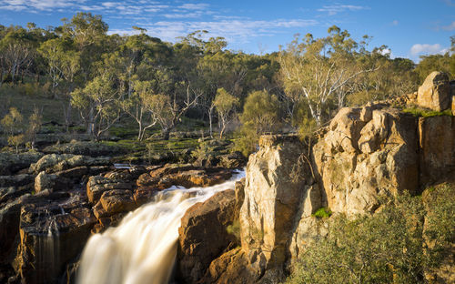 Nigretta falls waterfall in victoria, australia with high flow during winter time in time-lapse