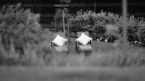 Lounge chairs and plants on field by lake