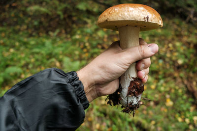 Midsection of person holding mushroom