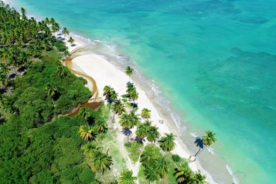 High angle view of bay on beach