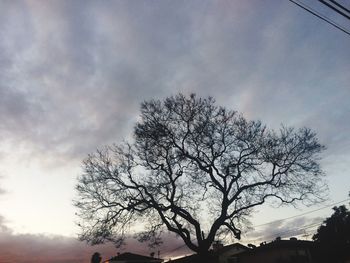 Low angle view of tree against cloudy sky