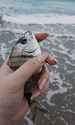 Cropped had holding fish at shore