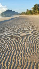 Scenic view of sand dune on beach against sky