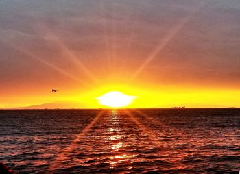 Scenic view of sea at sunset