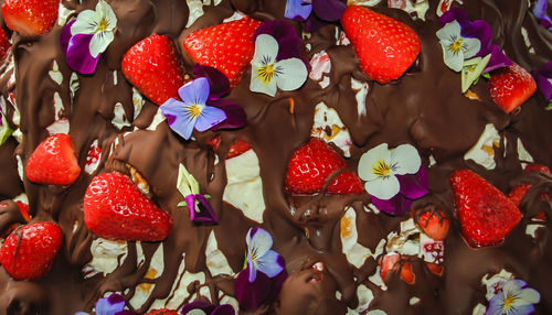 High angle view of strawberries on display