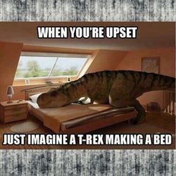 text