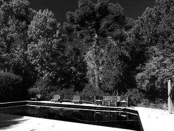 Close-up of tree against sky