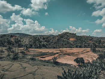 A view in the province. captured by xiaomi redmi 5 plus, edited in lightroom.