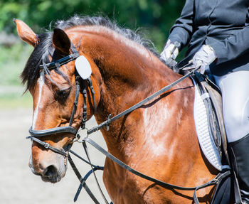 Midsection of man horseback riding