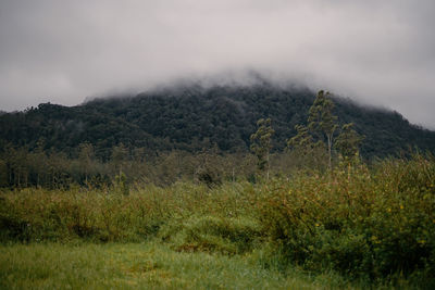 Scenic view of land against sky