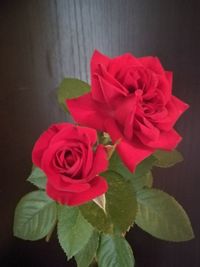 Close-up of rose bouquet