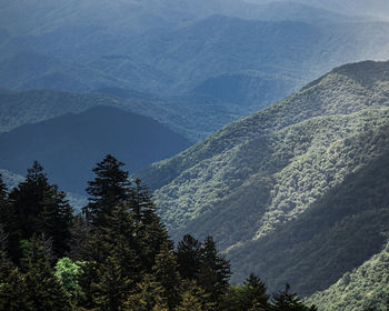 High angle view of trees and mountains