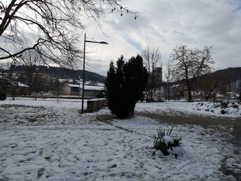 Trees on snow covered field against sky