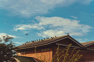 Low angle view of birds on building against sky