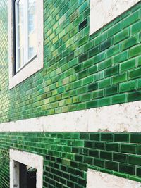 Green brick wall of house