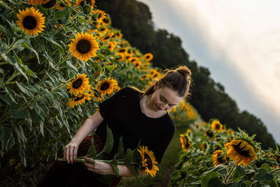 Young woman holding sunflower while standing amidst plants