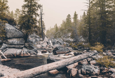 Stack of rocks in forest