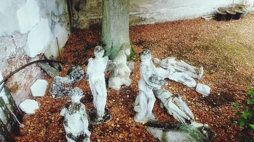 High angle view of icicles on tree trunk during winter