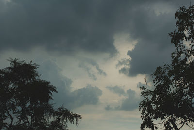 Low angle view of tree against cloudy sky