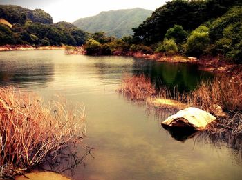 Scenic view of lake against sky