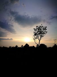 Silhouette trees on landscape against sky at sunset