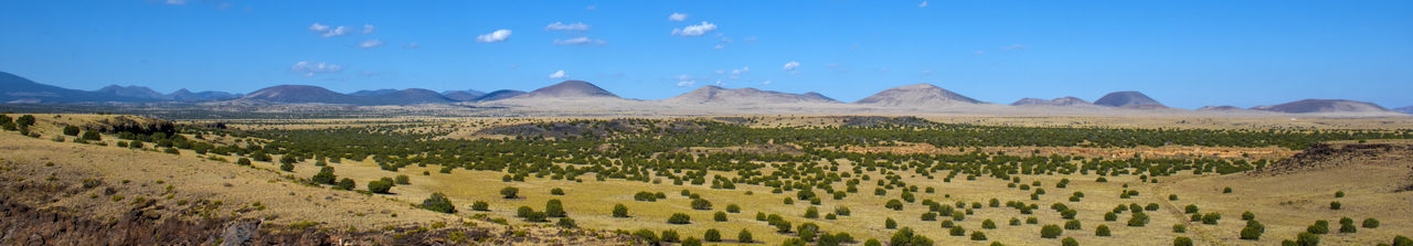 Panoramic shot of field against sky