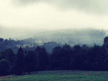 Trees on grassy field against sky in foggy weather