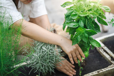 Midsection of woman holding plant