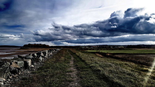 Scenic view of agricultural field against sky