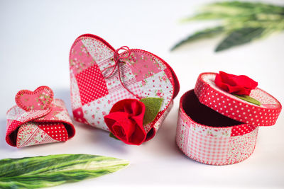 Close-up of containers with leaves against white background