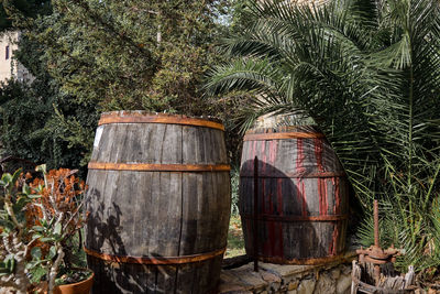 Plants growing on field against trees