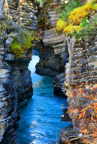 Rock formation amidst trees