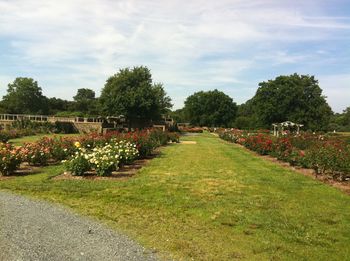 Scenic view of land against sky