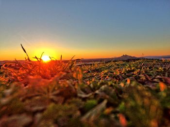 Scenic view of landscape at sunset