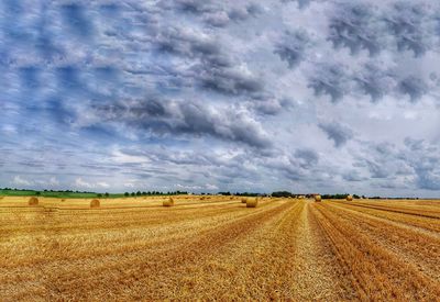 Scenic view of field against sky