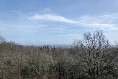 Bare trees on landscape against sky