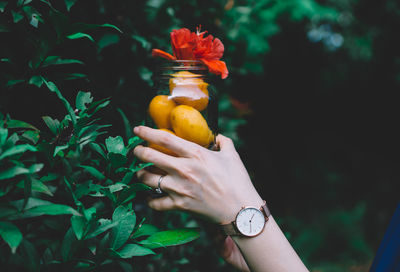 
close-up of hand holding jar with mango and flower