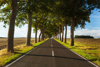Empty road amidst trees against sky