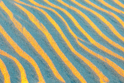 Rolling sandy landscape . golden sand waves background