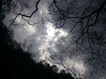 Low angle view of silhouette trees against sky at dusk