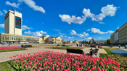 Flowering plants by buildings against blue sky