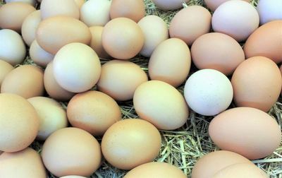 Full frame shot of eggs