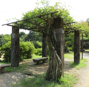 Wooden post amidst trees against sky