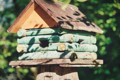 Close-up of birdhouse on tree trunk