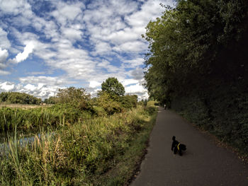 Wide angle canal shot