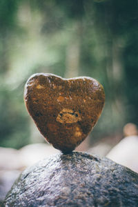 Close-up of heart shape on rock