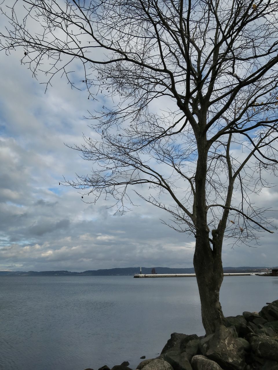 sky, water, tranquility, tranquil scene, bare tree, sea, scenics, tree, cloud - sky, beauty in nature, nature, branch, cloud, horizon over water, cloudy, lake, idyllic, tree trunk, calm, no people