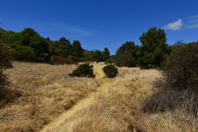 Scenic view of land against sky