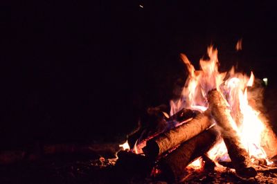 Close-up of bonfire at night