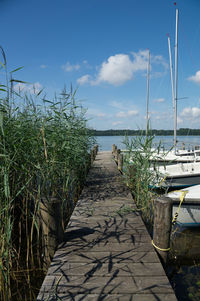 Footpath leading towards sea